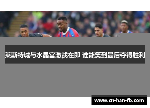莱斯特城与水晶宫激战在即 谁能笑到最后夺得胜利 莱斯特城与水晶宫激战在即 谁能笑到最后夺得胜利