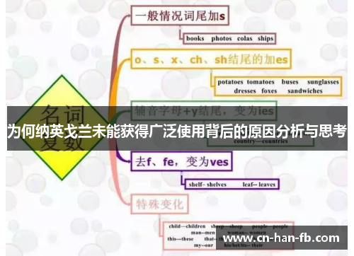 为何纳英戈兰未能获得广泛使用背后的原因分析与思考