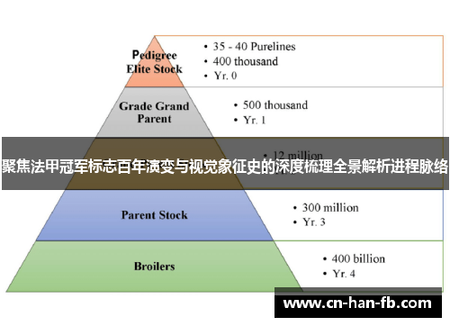 聚焦法甲冠军标志百年演变与视觉象征史的深度梳理全景解析进程脉络