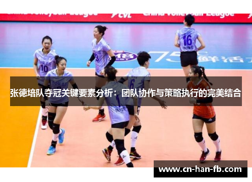 张德培队夺冠关键要素分析：团队协作与策略执行的完美结合