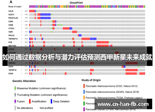 如何通过数据分析与潜力评估预测西甲新星未来成就